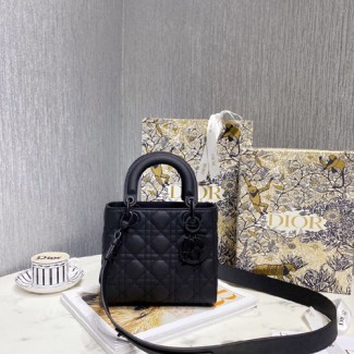디올 MY ABCDIOR 레이디백  M0538-5
